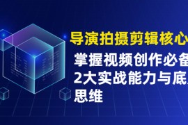 （1955期）导演拍摄剪辑核心课，掌握视频创作必备的2大实战能力与底层思维