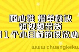 随心推爆单秘诀，短视频带货-超1个小目标的投放心得（7节视频课）