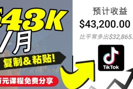 2022抖音国际版Tiktok赚钱项目：每天上传一个视频就轻松月入$43200