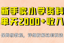 （6909期）我如何通过卖小学资料，实现单天2000+，实操项目，保姆级教程+资料+工具