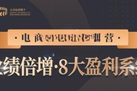 【电商TOP特训营】业绩倍增·八大赚钱系统，带你走TOP走过的路价值2980元