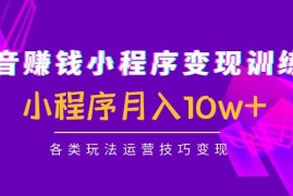 （4511期）抖音赚钱小程序变现训练营：小程序月入10w+各类玩法运营技巧变现