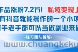 抖音私域项目23条作品涨粉7.2W，私域变现1W