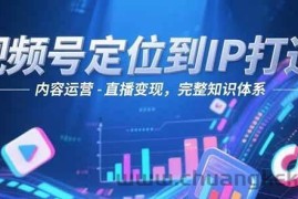 视频号定位到IP打造：账号搭建-内容运营-直播变现，完整知识体系