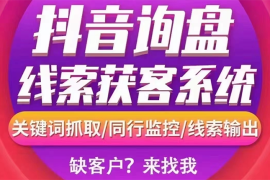 （2692期）【高端精品】外面卖888的短视频询盘获客采集系统【无限采集+永久使用】