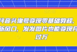 抖音头像号变现零基础教程，全新风口，发发图片也能变现月入过万