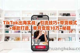 （16358期）「TikTok出海实战」引流技巧+带货模式+爆款打造，单月变现10万+秘籍