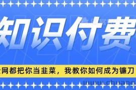 2024最新知识付费项目，小白也能轻松入局，全网都在教你做项目，我教你做镰刀【揭秘】