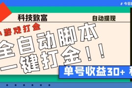 （6930期）最新田园小游戏协议全自动打金项目，单号收益30+【协议脚本+使用教程】