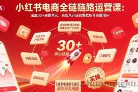 （15751期）小红书电商全链路运营课：涵盖30+实操单元，实现从开店到爆款账号完整闭环