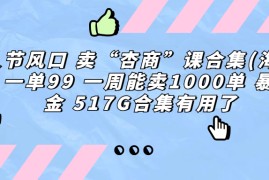 （6917期）情人节风口 卖“杏商”课合集(海王秘籍) 一单99 一周能卖1000单 暴…