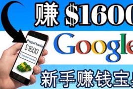 （3660期）零成本通过Google复制粘贴来简单赚取收益，几分钟赚1600美元