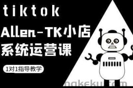 TK小店系统运营课-tiktok跨境电商教程