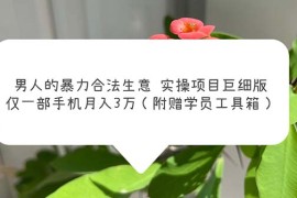 （5962期）男人的暴力合法生意实操项目巨细版：仅一部手机月入3w（附赠学员工具箱）