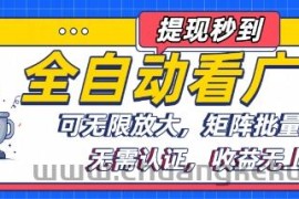 全自动看广告项目，可无限放大，可矩阵批量操作