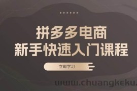 （13289期）拼多多电商新手快速入门课程：涵盖基础、实战与选款，助力小白轻松上手