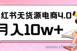 小红书新电商实战，无货源实操从0到1月入10w+联合抖音放大收益【揭秘】