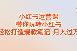 （6921期）小红书运营课，带你玩转小红书，轻松打造爆款笔记  月入过万