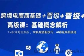 （15496期）跨境电商基础+晋级+高级课：基础概念解析,Tk私域涨粉技巧,AI客服系统搭建