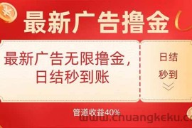 （15519期）最新广告无限撸金，日结秒到，管道40%