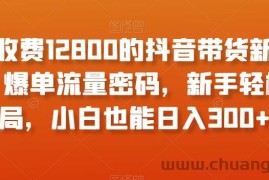 外面收费12800的抖音带货新奇玩法，爆单流量密码，新手轻松入局，小白也能日入300+【揭秘】