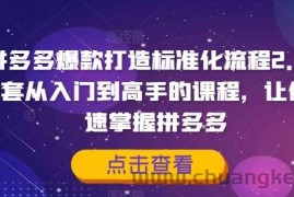 拼多多爆款打造标准化流程2.0，一套从入门到高手的课程，让你快速掌握拼多多