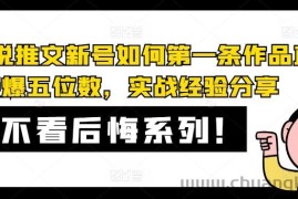 AI小说推文新号如何第一条作品直接爆五位数，实战经验分享