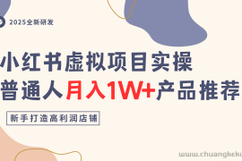 小红书虚拟项目实操指南，普通人月入1W+产品推荐，直接抄