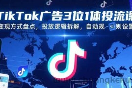 （15460期）TikTok广告3位1体投流课，变现方式盘点，投放逻辑拆解，自动规则设置