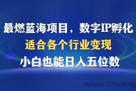 （12941期）最燃蓝海项目  数字IP孵化  适合各个行业变现  小白也能日入5位数