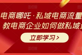 大圣电商哪吒·私域电商流量密码课，教电商企业如何做私域运营