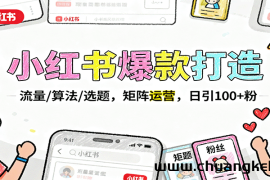 小红书爆款打造：流量/算法/选题，矩阵运营，日引100+粉