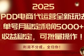 （14839期）2025PDD电商代运营全新玩法，单号月稳定利润5000+，收益稳定，可批量操作