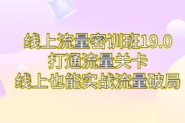 （6955期）线上流量密训班19.0，打通流量关卡，线上也能实战流量破局