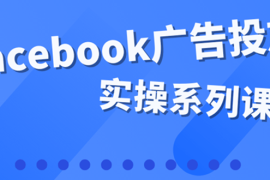 （3854期）百万级广告操盘手带你玩Facebook全系列投放：运营和广告优化技能实操！