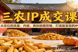 三农IP成交课：从定位到流量、内容，再到拍摄剪辑，打造能变现的IP