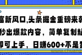 （14434期）财富新风口,头条掘金重磅来袭AI秒出爆款内容简单复制粘贴即可上手，日…