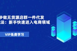 （1471期）从0起步做无货源店群一件代发实操玩法：新手快速进入电商领域（40节视频）