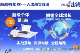 出海去孵化器，一人出海实战课，​超级个体第1站，解锁全球增长