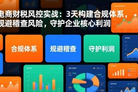（17197期）电商财税风控实战：3天构建合规体系，规避稽查风险，守护企业核心利润