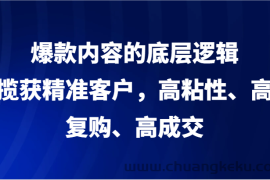 爆款内容的底层逻辑，揽获精准客户，高粘性、高复购、高成交