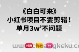 小白可来 小红书项目不需要剪辑 单月3w不是问题