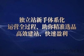 （13914期）独立站新手体系化 运营全过程，助你精准选品、高效建站、快速盈利