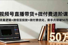 （16684期）视频号直播带货+微付费进阶课：流量逻辑+微信豆投放+微付费优化，新手月销破50万