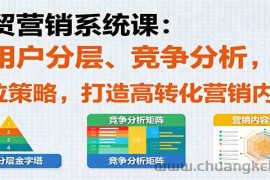 外贸营销系统课：含用户分层、竞争分析，授卖品、定位策略，打造高转化营销内容