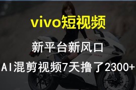 【老万创富圈】最新技术助力！VIVO中视频项目每周轻松赚1w+，AI去重大揭秘！