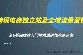 跨境电商独立站及全域流量营销，从0基础快速入门并精通跨境电商运营