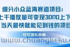 小众蓝海赛道项目：当天变现1k+适合新手操作 +适合长期玩