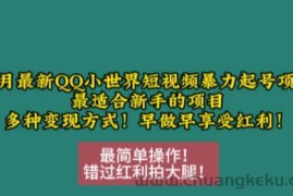 12月最新QQ小世界短视频暴力起号项目，最适合新手的项目，多种变现方式