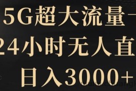 5G超大流量卡，24小时无人直播，日入3000+【揭秘】